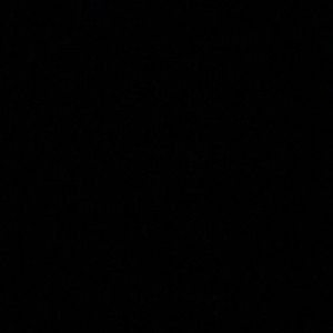 Meet your Posher, Mia